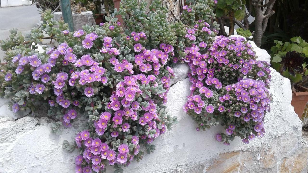 Borgo Antico Daire Peschici Dış mekan fotoğraf